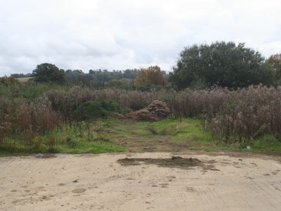 Westlands Training Complex