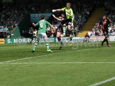 20130506 - sheff utd5home 317.JPG