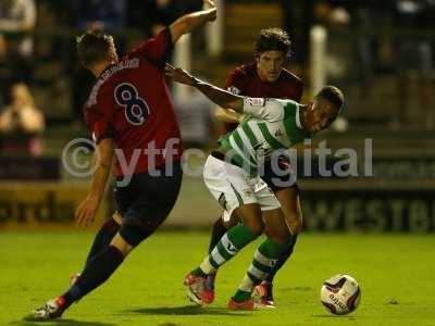 Yeovil v West Brom 280812