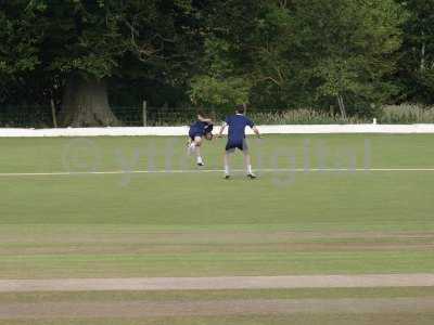 20120726 - cricket 260712 002.JPG