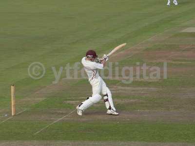 20120726 - cricket 260712 007.JPG