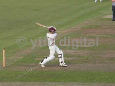 20120726 - cricket 260712 008.JPG