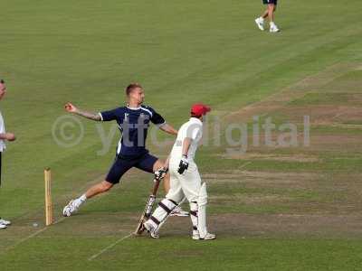 20120726 - cricket 260712 033   perr.jpg