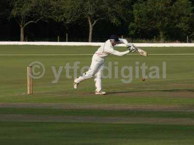 20120726 - cricket 260712 071.JPG