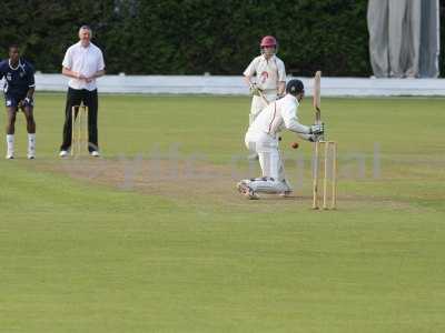 20120726 - cricket 260712 109.JPG