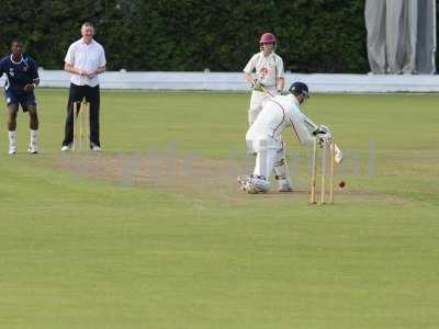 20120726 - cricket 260712 110.JPG