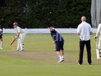 20120726 - cricket 260712 116  wdp.jpg