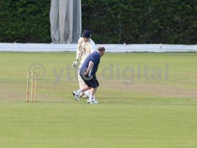 20120726 - cricket 260712 127.JPG