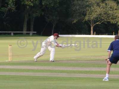 20120726 - cricket 260712 152.JPG