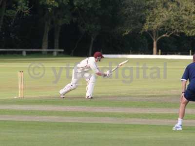 20120726 - cricket 260712 153.JPG