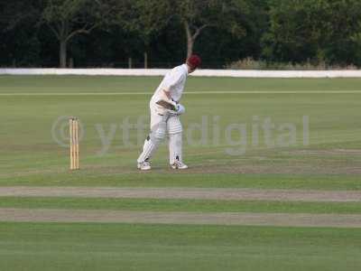 20120726 - cricket 260712 170.JPG