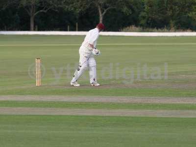 20120726 - cricket 260712 172.JPG