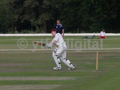 20120726 - cricket 260712 178.JPG