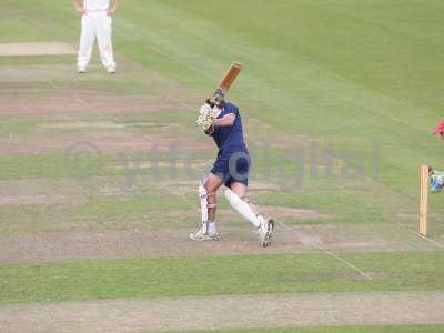 20120726 - cricket 260712 220.JPG