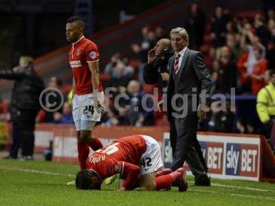 Charlton v Yeovil 080413