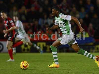 Bournemouth v Yeovil 261213