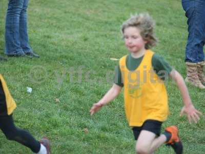 20120221 - cross country run 053.JPG