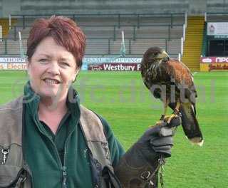 20110331 - bird of prey web.jpg