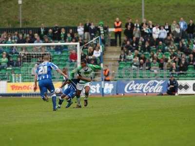 20100508 - brighton 2 away 064.JPG