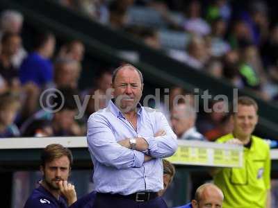 Yeovil v Cardiff 270714