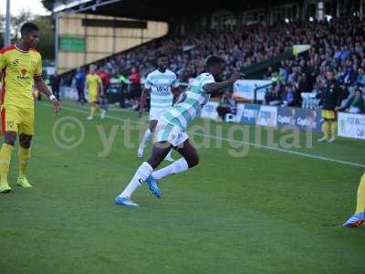 20141004 - MK Dons04102014Home 293.JPG