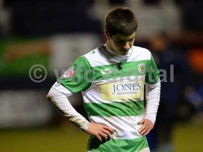 Luton Town v Yeovil Town 020216