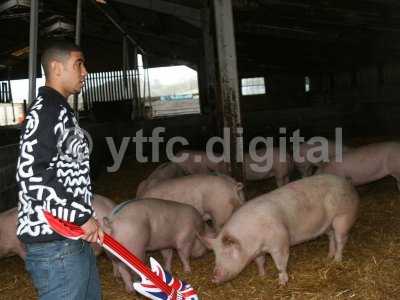 20050714 - Leon pigs 102.jpg